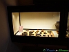 Il Museo Archeologico di Atri 11-PC270559+.html